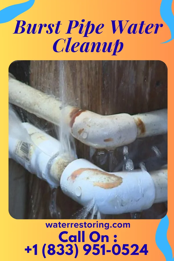 Burst Pipe Water Cleanup in Picnic Point, WA