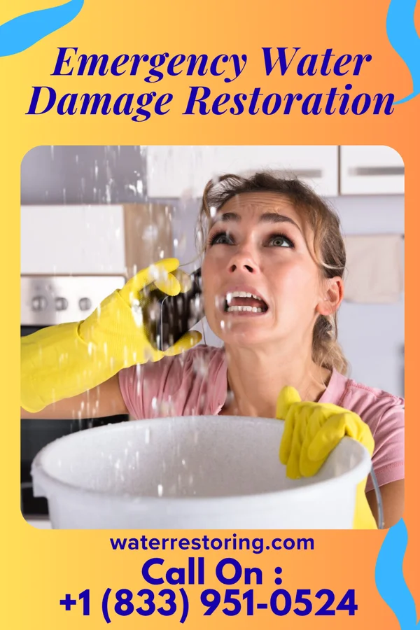 Emergency Water Damage Restoration in Picnic Point, WA