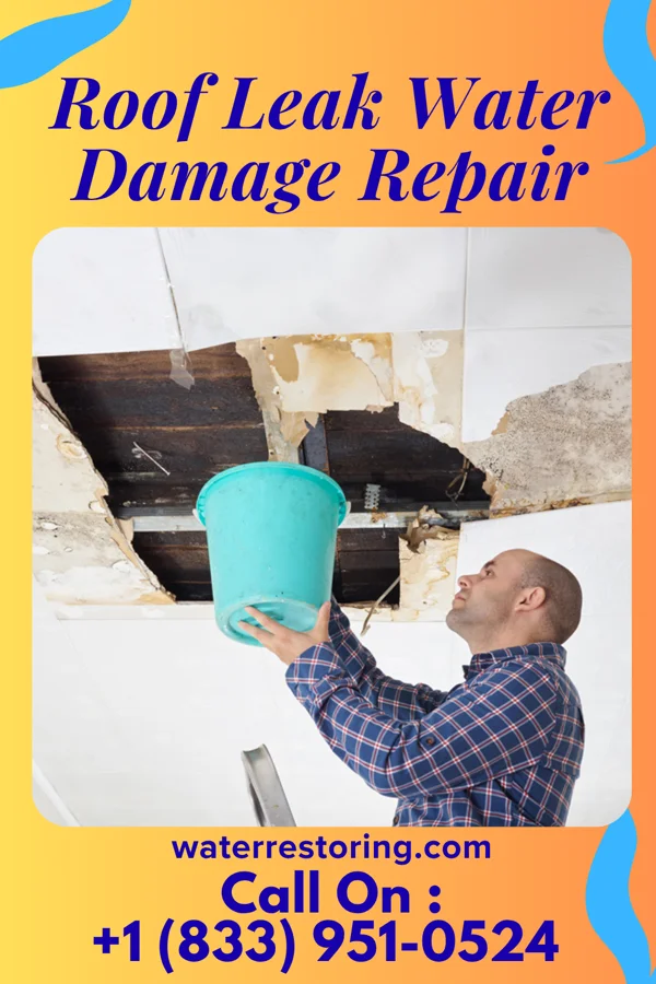 Roof Leak Water Damage Repair in Picnic Point, WA